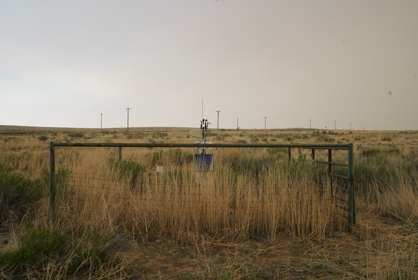 Hoehne Photo Archive